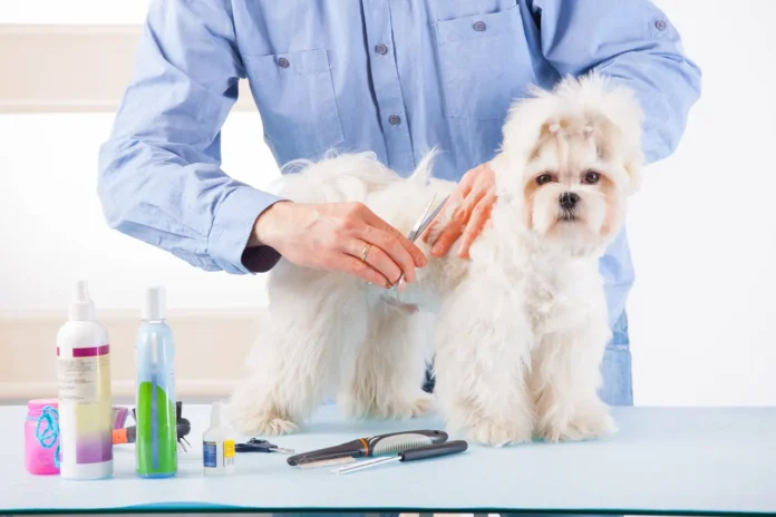 dog groomer atlanta